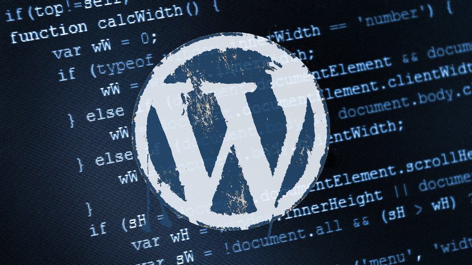 Website security - wordpress logo with codes in the background