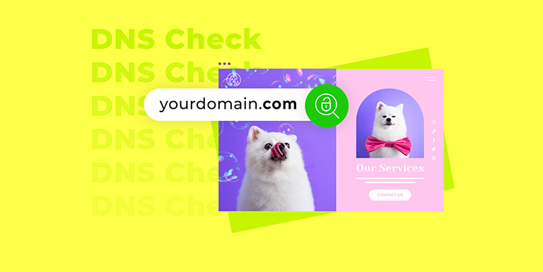 Why DNS Check is Important and How to Do it